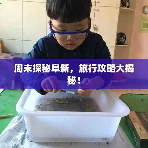 周末探秘阜新,旅行攻略大揭秘!