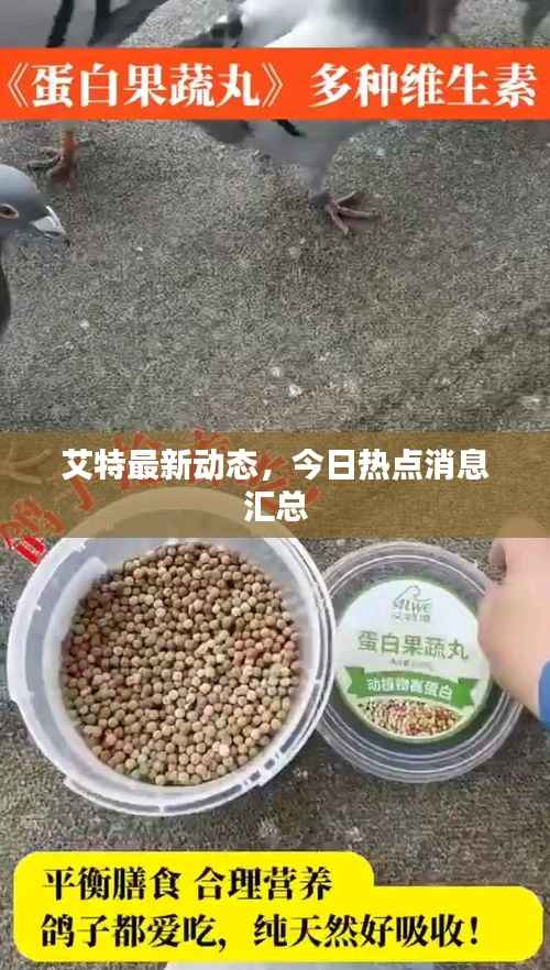 艾特最新动态,今日热点消息汇总