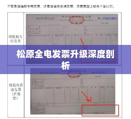 松原全电发票升级深度剖析