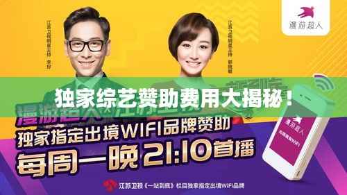 独家综艺赞助费用大揭秘!