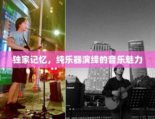 独家记忆,纯乐器演绎的音乐魅力