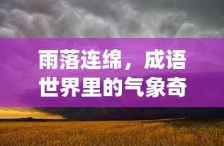 雨落连绵,成语世界里的气象奇观