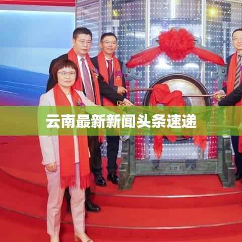 云南最新新闻头条速递