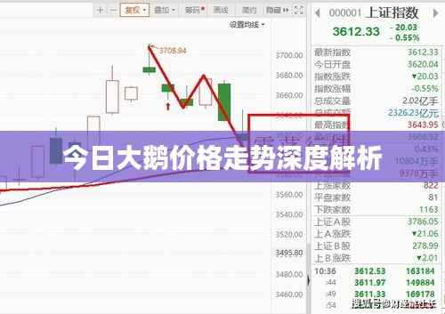 今日大鹅价格走势深度解析