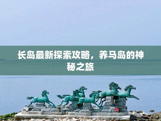 长岛最新探索攻略,养马岛的神秘之旅
