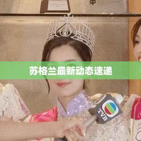 苏格兰最新动态速递