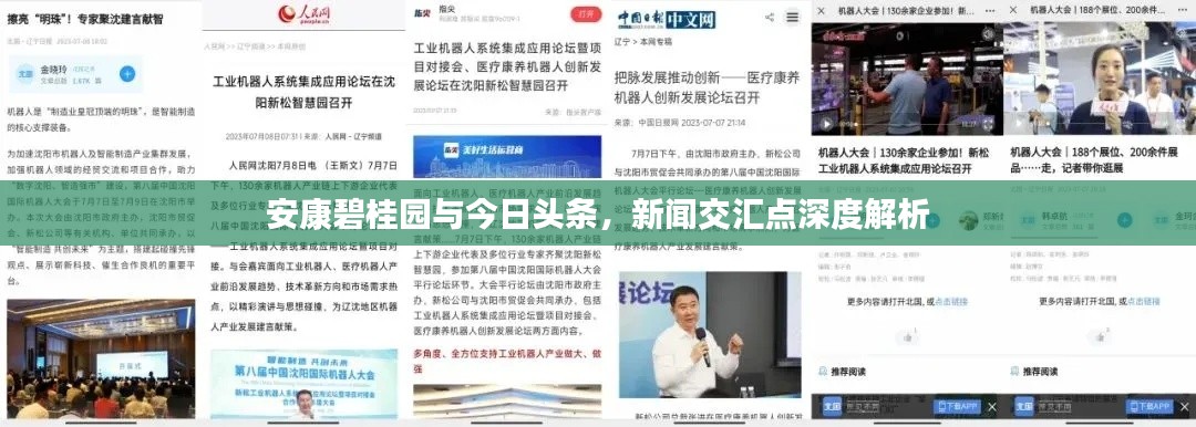 安康碧桂园与今日头条,新闻交汇点深度解析