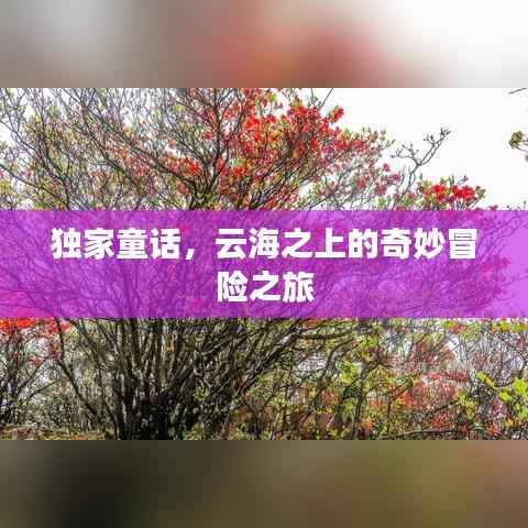 独家童话，云海之上的奇妙冒险之旅