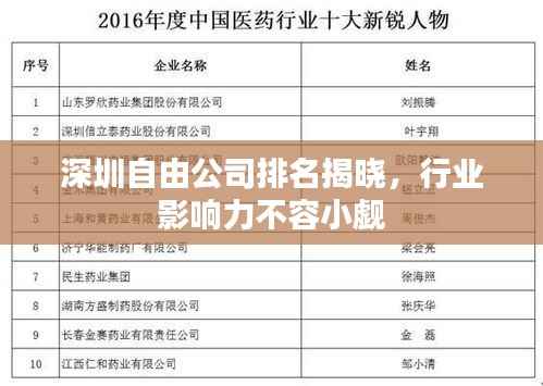 深圳自由公司排名揭晓,行业影响力不容小觑