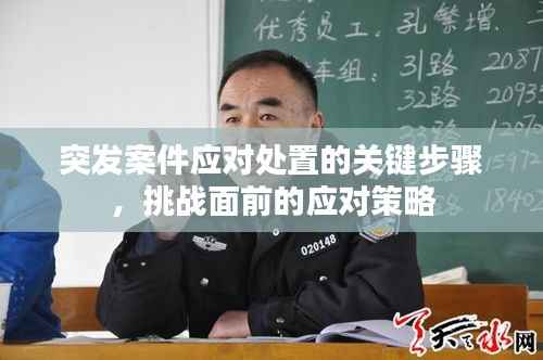 突发案件应对处置的关键步骤,挑战面前的应对策略