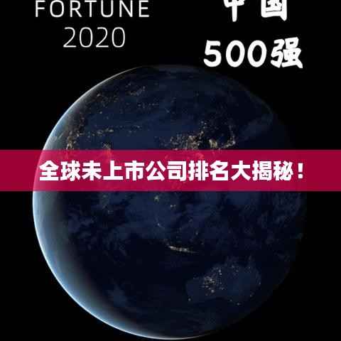 全球未上市公司排名大揭秘!