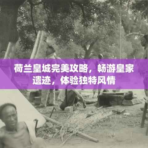 荷兰皇城完美攻略,畅游皇家遗迹,体验独特风情