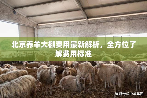北京养羊大棚费用最新解析,全方位了解费用标准