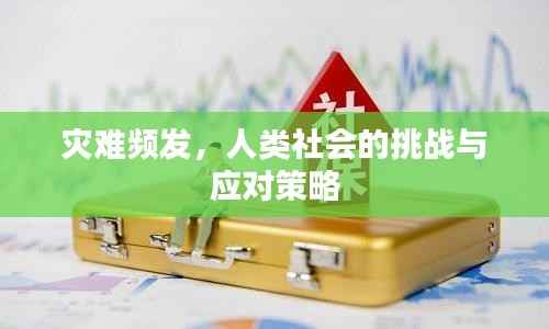 灾难频发，人类社会的挑战与应对策略
