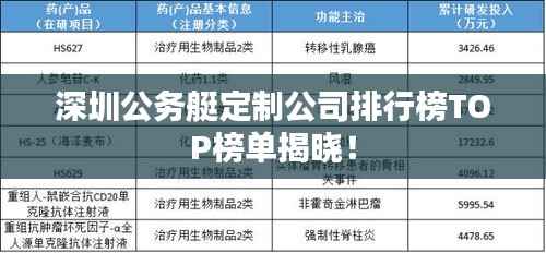 深圳公务艇定制公司排行榜TOP榜单揭晓!