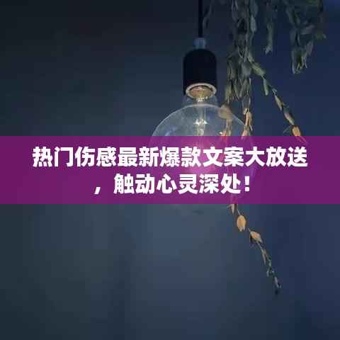 热门伤感最新爆款文案大放送,触动心灵深处!