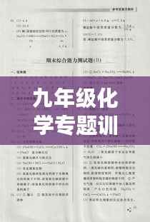九年级化学专题训练二,深化理解与提升应用能力实战演练
