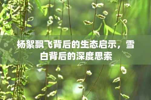 zhangchanghuamei 第5页