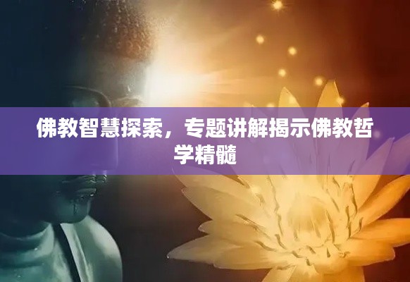 佛教智慧探索,专题讲解揭示佛教哲学精髓