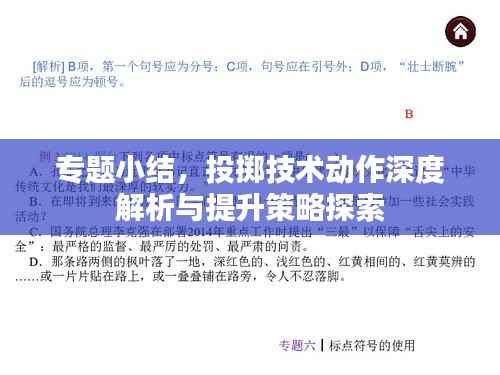 专题小结,投掷技术动作深度解析与提升策略探索