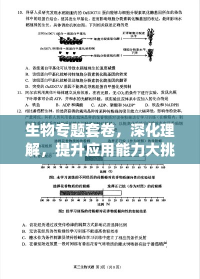 生物专题套卷,深化理解,提升应用能力大挑战