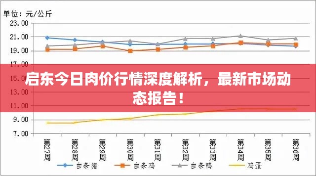 启东今日肉价行情深度解析,最新市场动态报告!