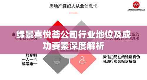 绿景喜悦荟公司行业地位及成功要素深度解析
