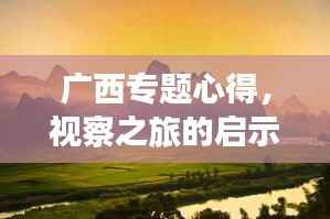广西专题心得,视察之旅的启示与深度思考