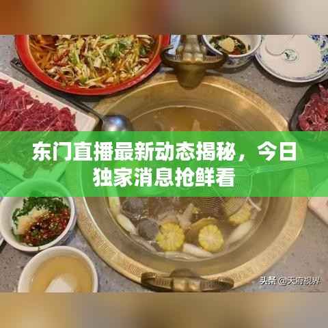 东门直播最新动态揭秘,今日独家消息抢鲜看
