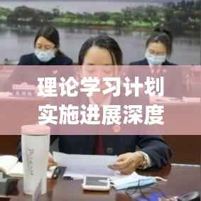 理论学习计划实施进展深度探讨，成效与挑战并存