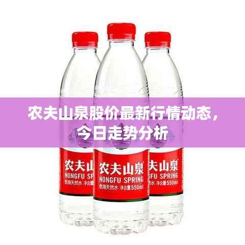 农夫山泉股价最新行情动态,今日走势分析
