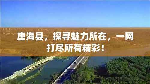 唐海县,探寻魅力所在,一网打尽所有精彩!