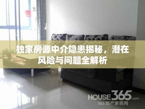 独家房源中介隐患揭秘,潜在风险与问题全解析
