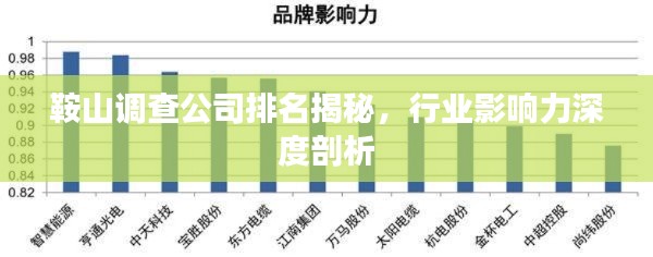 鞍山调查公司排名揭秘,行业影响力深度剖析
