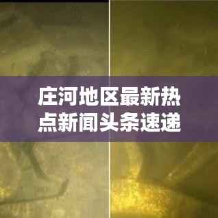 庄河地区最新热点新闻头条速递