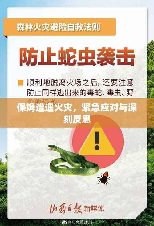 保姆遭遇火灾,紧急应对与深刻反思