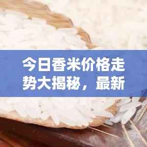 今日香米价格走势大揭秘,最新行情分析!