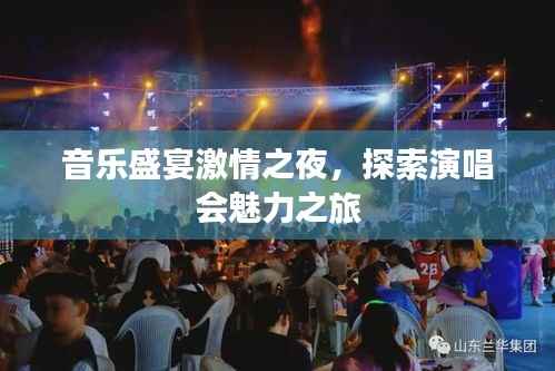 音乐盛宴激情之夜，探索演唱会魅力之旅