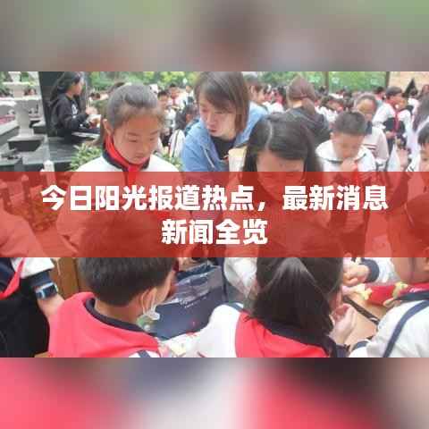 今日阳光报道热点,最新消息新闻全览