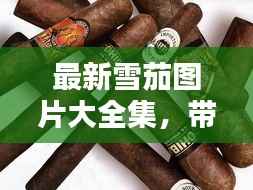 最新雪茄图片大全集,带你领略雪茄世界的独特魅力