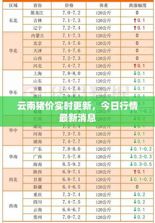 云南猪价实时更新，今日行情最新消息