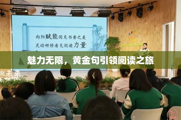 魅力无限,黄金句引领阅读之旅